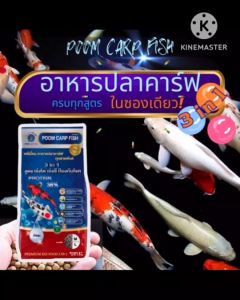 อาหารปลาคาร์ฟ เกรดพรีเมี่ยม 3 สุด บรรจุถูก 5 กก, ปลาคราฟน้องภูมิ สูตร 3 in 1 (เร่งโต+เร่งสี+ป้องกันโรค)