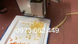 Máy cắt hạt lựu trái cây củ quả xúc xích giò chả chỉ trong một lần thái