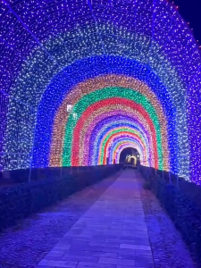 HOVELSHOP Lampu 17 Agustusan Dekorasi Aesthetic Tumblr Lamp Natal LED Chrismast Hiasan Agustusan Fairy Light Vintage Taman Indoor Outdoor