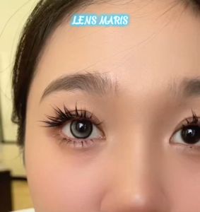 ❄️Lens DONNA GRAY - DREAMOON 🌜