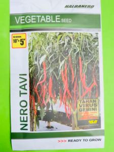 Benih Cabe Keriting Tahan Virus NERO TAVI dr HALBANERO 10 gram