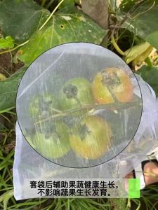Fruit Nylon Protection Bags 50pcs Insect Proof Mesh Net for Garden Plant Cover Plant Seeds 