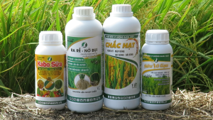 COMBO CHUYÊN LÚA TỪ ĐẦU VỤ ĐẾN CUỐI VỤ