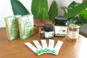 【BUY 1 FREE 1 Box Sachet】RH Wellness Stingless Bee Propolis 10ml - 向阳银蜂胶 银蜂胶液 无刺蜂胶萃取