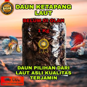 Daun ketapang Belum Diolah kualitas pilihan dan terjamin 1kg