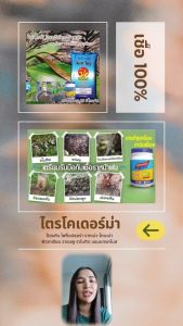 ไตรโคเดอร์มา กําจัดเชื้อราร้าย คิงส์ไตรโคร ตรารีซิสเตอร์ ขนาด 500 กรัม