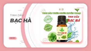 (HCM) Tinh Dầu Bạc Hà Thiên Nhiên Nguyên Chất Huyền Thoại Đuổi Chuột Chăm Sóc Răng Miệng Khuếch Tán Hương Thơm - Ro Organic