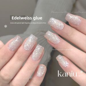 Kaniu Knocking Immortal Snow Velvet Nail Art UV Gel Manicure Nail Art High Gloss Light Bulb Fine Glitter Powder Nail Polish