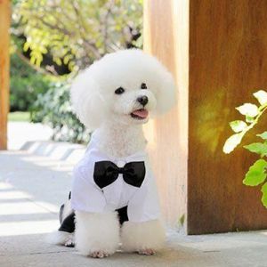 Cool & Handsome Pet Dog Suits: Perfect for Your Pet's Special Occasions