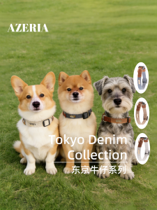 AZERIA Customizable Dog Collar Safety Leash for Small Dogs Teddy Prevents Loss Writing Option Available Pet Supplies