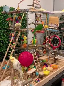 Bird Cage Toys for Parrots Wood Birds Swing Reliable Chewable Bite Bridge Wooden Beads Shape Parrot Toy 11pcs Bird Toys