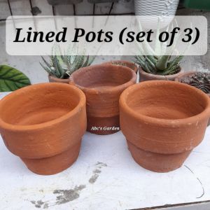 Lined Pot (3pieces for P130)