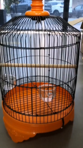 Colorful Bird Cage with Stand & Feeder Ideal for Small to Medium Birds