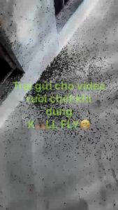 Diệt ruồi Kill FLY chai xịt trực tiếp 450ml Bám dính hoạt lực tác dụng kéo dài an toàn cho trang trại Sản Phẩm Diệt Côn Trùng Hiệu Quả - Lazada