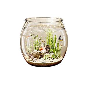 VOA | Small Round Acrylic Aquarium for Desk and Office