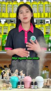 Combo Best Seller Tinh dầu xông phòng Tâm An dung tích 10ml thơm phòng giảm căng thẳng khủ mùi hôi