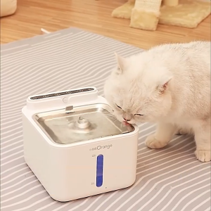 [SG Stock]3L Pet Water Dispenser Cat Dog Water Fountain Wireless Automatic Fountain with Water Level Window USB Recharge