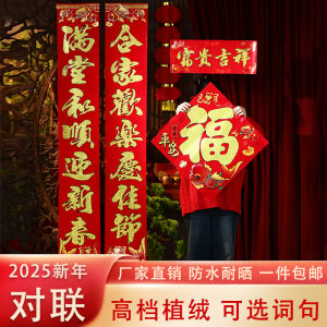 New Year Velvet Frosted Gold Powder Door Couplets Moving New Home Spring Festival Snake Year Good Luck Word Door Stickers