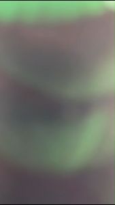 Kaos Pria Premium 3 Dimensi Tshirt 0blong Animasi Bird Katun 24s 100% H092 By Hans & co