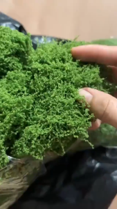 100g Artificial Moss – for DIY Microlandscapes Bonsai Rock Gardens & Fake Scenes