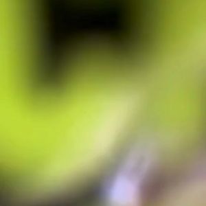 DaVinci Gourmet Matcha Powder 1kg Premium Green Tea Latte Smoothie Dessert Barista Grade Philippines