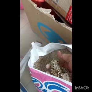 Free Snack Stick - 12 Liter QUINN CAT SAND Pasir Kucing Gumpal Wangi Premium anti Bakteri