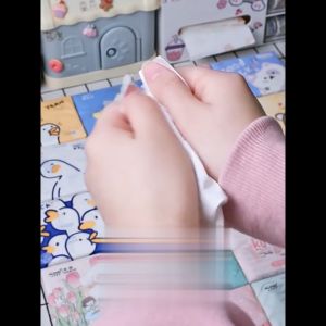 BW-C924 Tissue Karakter Lucu Isi 120 Lembar Sekali Pakai / Tisu Kering Bermotif 120 Sheets 3 Ply