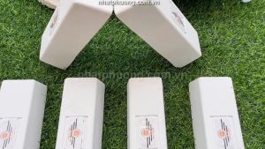 Lơ Đánh Bóng Đồng