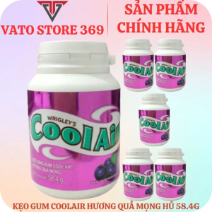 Kẹo sing-gum COOL AIR hương quả mọng hủ 58.4g