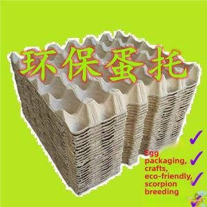 Jiaxun | Paper Egg Tray 30 Pcs
