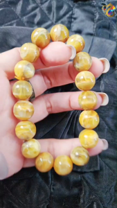 Collection Grade Rare Natural Old Mine Cat Eyes Gold Opal Bracelet