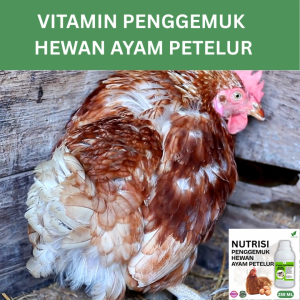 Vitamin Penggemuk Ayam Petelur Alami 250ml Nafsu Makan Naik Bobot Cepat Bertambah Hasil maksimal