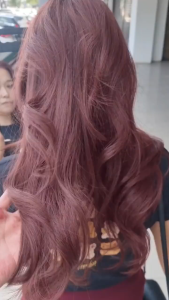 สีเทรนด์ ปี 2025 ขายดีที่สุดในเน็ต CAYIROM 100ML*2 สีย้อมผม ยาย้อมผม สารบริสุทธิ์จากพืชธรรมชาติ กลิ่นหอมสดชื่นไ ทำสีง