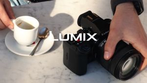 Panasonic Lumix S 28-200mm f/4-7.1 MACRO O.I.S. Lens (L-Mount)