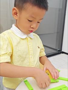 TONGMUXING | Traditional Interlocking Wooden Intelligence Development DIY House Model Building Set