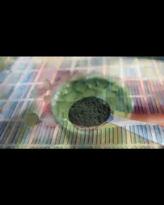 Green Heron Spirulina Capsule 310mg (70 capsules) Energy Booster & Nutrient Rich