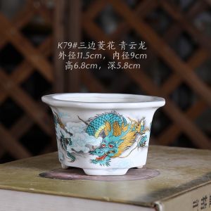 Free House Boutique Ceramic Small Flower Pot Glazed Basin High Temperature Stickers Qinglong Series a Variety of Succulents