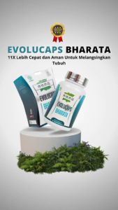 Evolucaps Bharata Obat Herbal Ampuh Melangsingkan Badan Dan Mengecilkan Perut Buncit Tanpa Olahraga Resmi BPOM