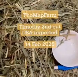 Cỏ Timothy Cho Thỏ Bọ Ú Chinchilla Cỏ khô 500g 1kg cỏ Timothy kiện có ít bụi cỏ hoặc đã lọc bụi