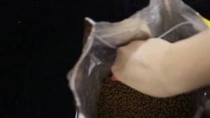 Muỗng đa năng (xúc thức ăn xúc cát) dành cho chó mèo hamster thỏ bọ... - T3 PETS SHOP