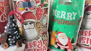 ถุงพลาสติก หูหิ้ว ลายซานตาคลอส คริสต์มาส ใส่ขนม คู่กี้ ลูกอม ของใช้ทั่วไป กว้าง 17 สูง 25 ซม แพ็ค 10 ชิ้น พร้อมส่ง