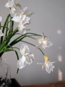 ดอกไม้ประดับตกแต่งสีขาว Iris ดอกไม้เทียม ดอกไม้ประดับตกแต่งห้องนั่งเล่น ดอกไม้ประดับโต๊ะทานอาหาร ดอกไม้ประดับตกแต่งสุดหรู ดอกไม้ประดับตกแต่งสไตล์หรูหรา