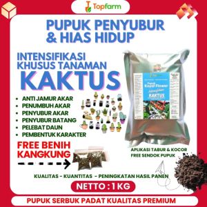 Pupuk Kaktus Berkualitas Tinggi & Cara Menggunakannya