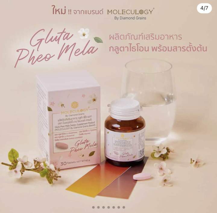 GLUTA PHEO MELA DIETARY SUPPLEMENT PRODUCT กลูต้าโมเลกุลโลจี้ Lazada