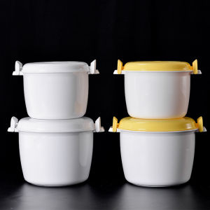 Large Multifunctional Thermal Bento Box