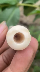 once pipa gading gg lokal model bulat lengkung panjang 15cm ujung pipih halus asli