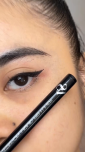 FS Features & Shades Stay-On Liquid Pen Liner Black (Water resistant)