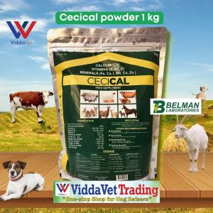 1kg Cecical Powder Feed Premix: Calcium + Vitamins + Minerals for Animals