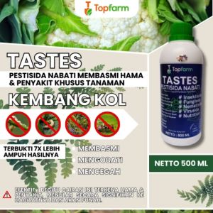 Obat Hama Tanaman Kembang Kol / Obat Pembesar Buah Kol / Obat Hama Untuk Buah Kol / Obat Ulat Buat Kembang Kol / Obat Buat Tanaman Bunga Kol