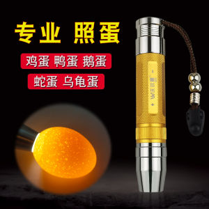 Automatic Egg-Laying Detector LED Flashlight Type Strong Cold Light Turtle Incubation Special Check Small Chicken Duck Egg Light